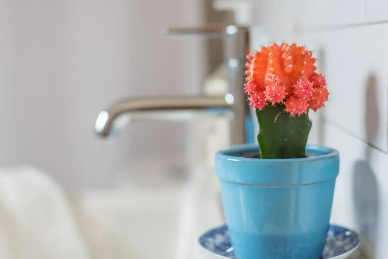 Private Studio, Lofted Bed, Soaking Tub & Patio Villa Portland